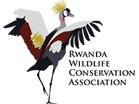 RWC-logo